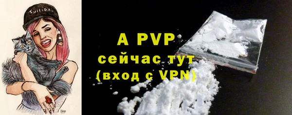PSILOCYBIN Осинники