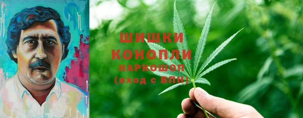сатива Няндома
