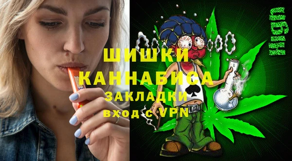 сатива Няндома