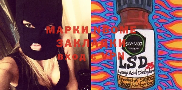 сатива Няндома