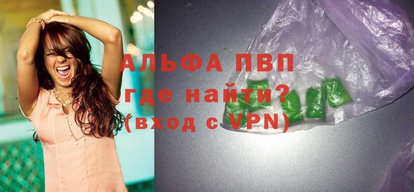 сатива Няндома