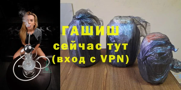 сатива Няндома