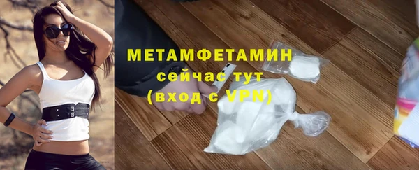 сатива Няндома