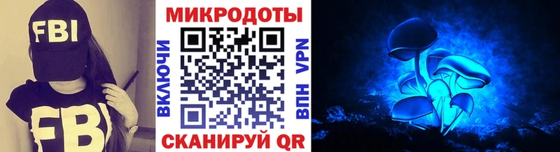 что такое   Белый  Псилоцибиновые грибы мицелий 